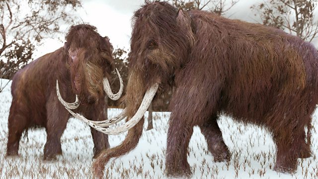 woolly mammoth de